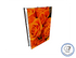 Graphic Refresh - 5' SPlus SEG Fabric Pop-up Display (AB2069N-GR)